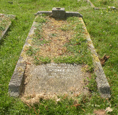 William George Hale